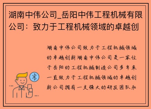 湖南中伟公司_岳阳中伟工程机械有限公司：致力于工程机械领域的卓越创新